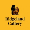 Ridgeland Cattery