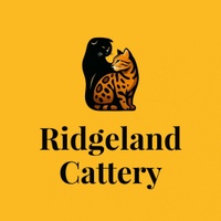 Ridgeland Cattery