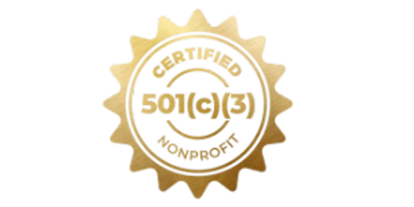  fundraiser, community support, childhood illness, 501(c)(3) nonprofit, houston county, warner robins, kethleen, perry, lake joy