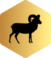 RAM Resourcing