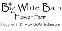 Big White Barn