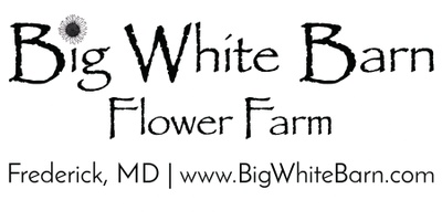 Big White Barn