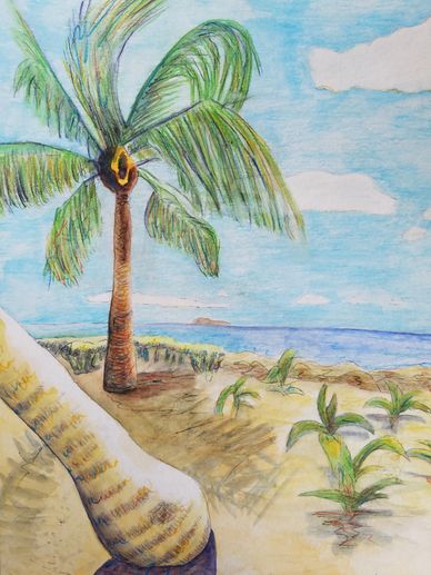Caribbean Waterscape, gift for Dad, by Liz Connelly, Watercolor/Colored Pencil