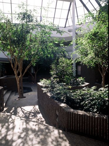 Indoor atrium with trees and natural sunlight through a glass ceiling.