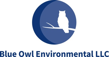 Blue Owl Environmental LLC