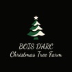 Bois D'Arc Christmas Tree Farm