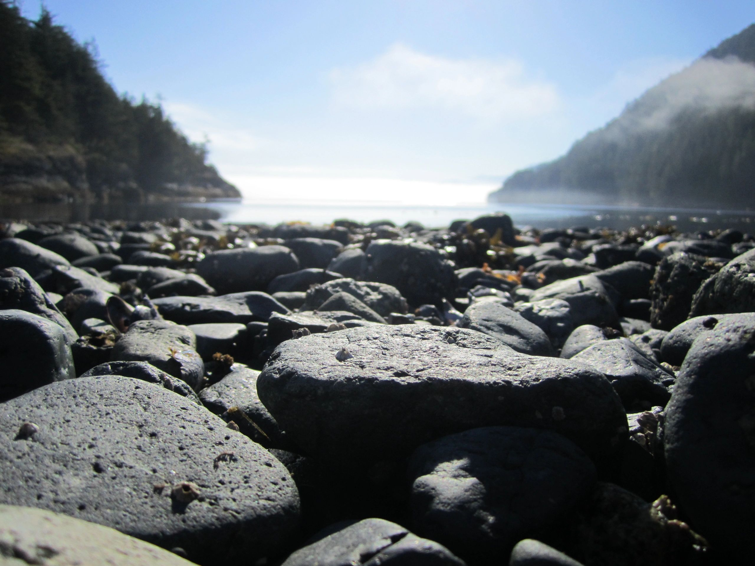 Inside Nature Education