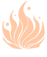Studio ember