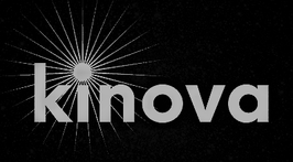 kinova 
consulting &  solutions