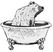 Bear Bath Refinishing