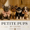 Small Cute Puppies at Petite Pups by Gates