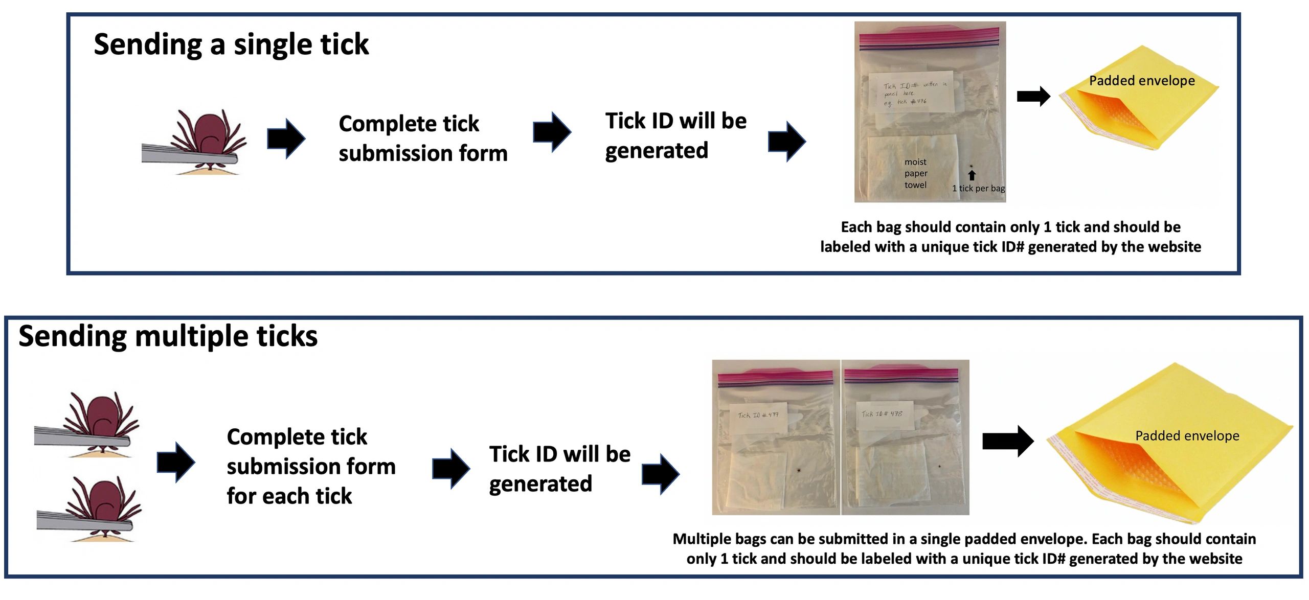 rt447 lab tick testing