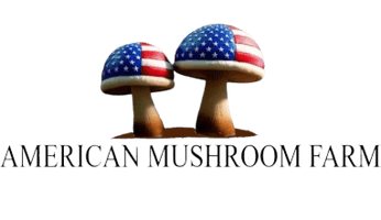 AMERICAN MUSHROOM FARM