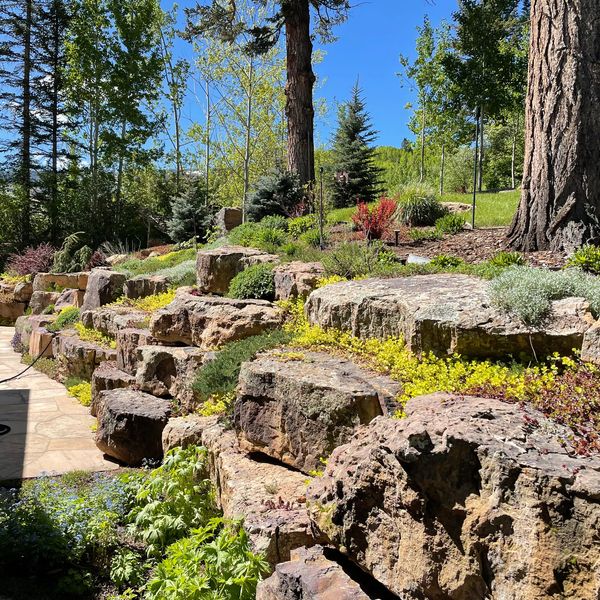 Finished boulder wall with plants