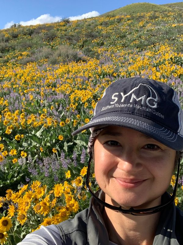 Wildflowers