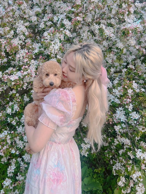A woman in a pastel dress hugs a fluffy puppy near blooming white flowers.