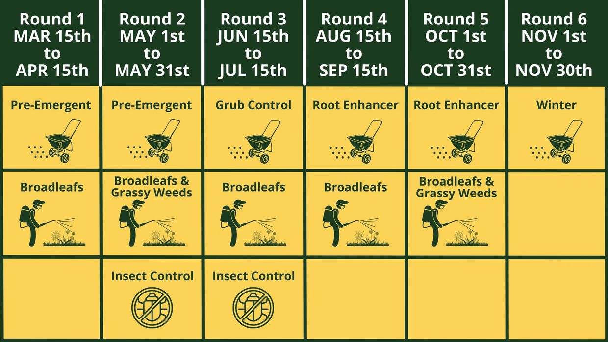 6 Round Treatment Schedule