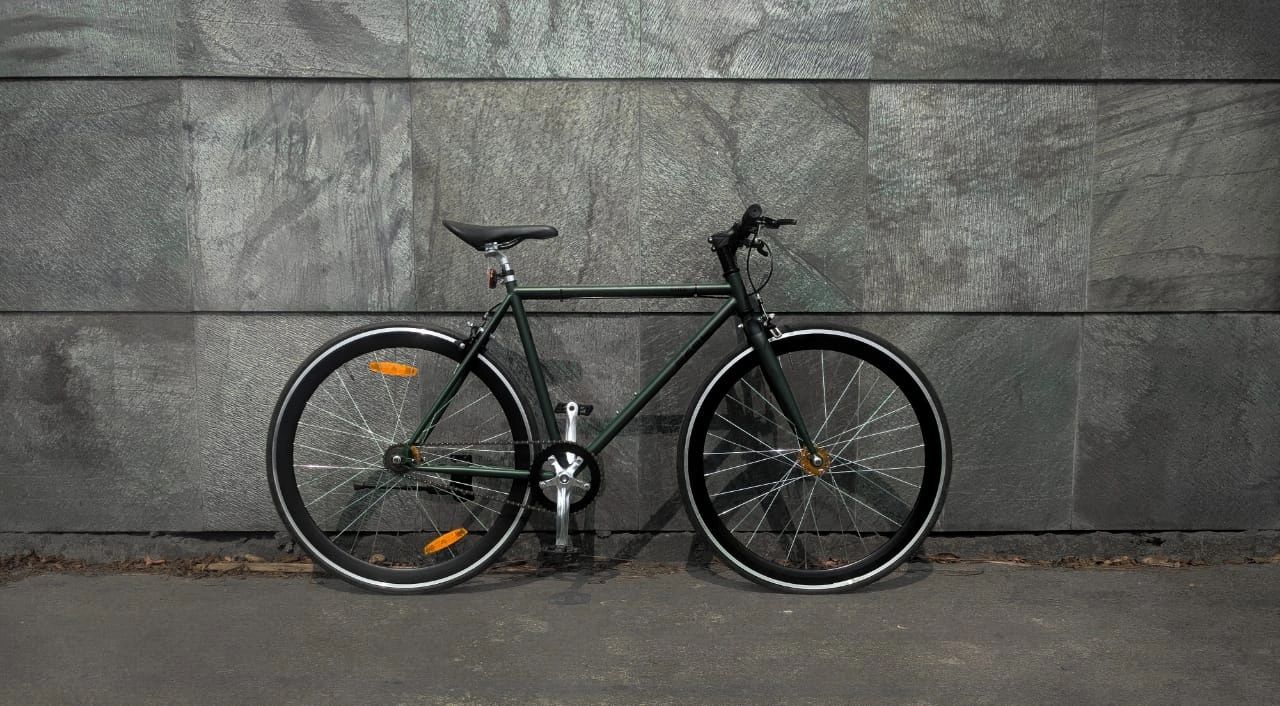 EINZ Fixie SS