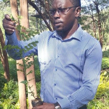 Man examining a young plant outdoors.