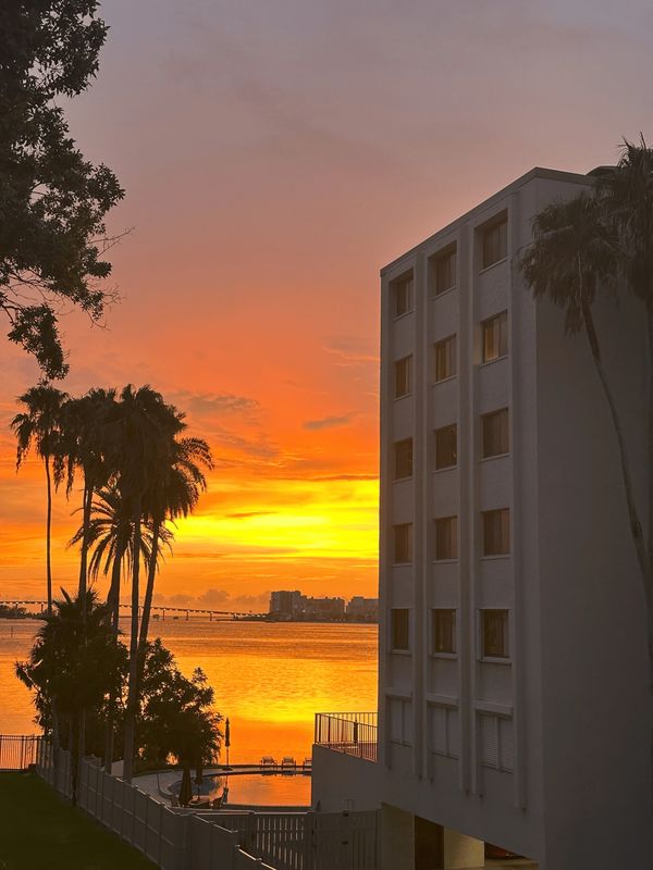 The Postcard - Clearwater Bay