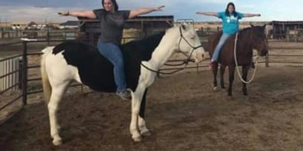 Equine yoga 