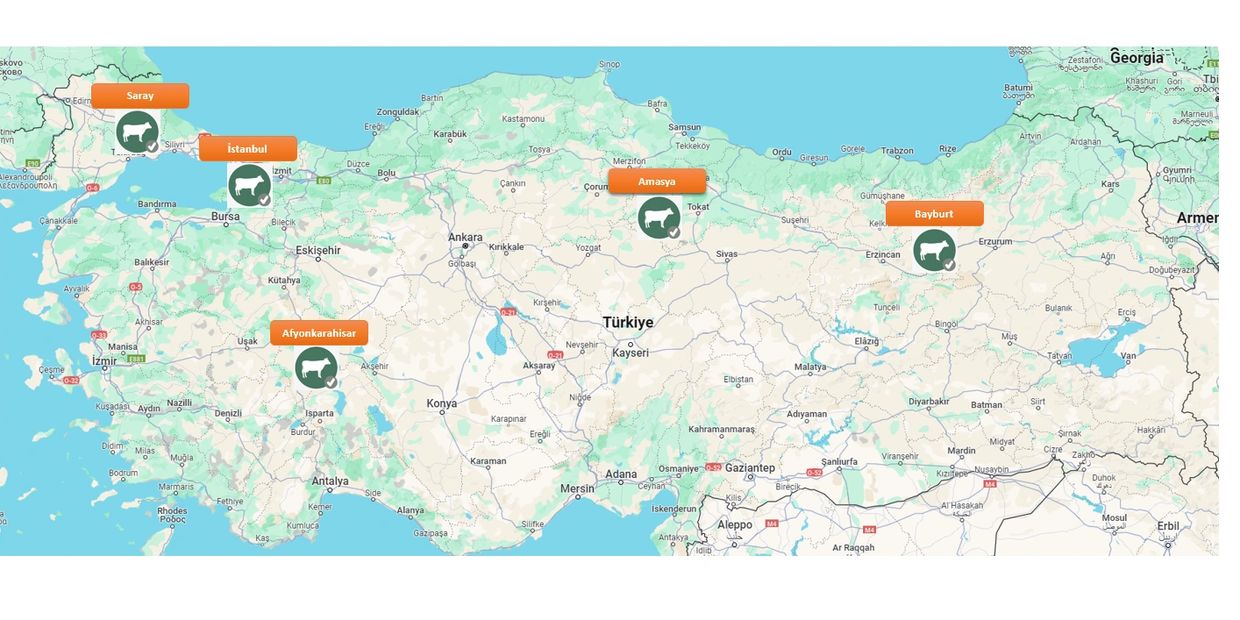 Damızlık Gebe Düve Merkezleri