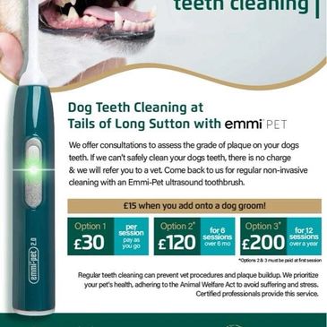 Emmipet teeth cleaning 