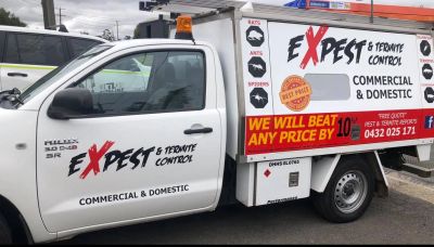 Commercial pest and termite control service vehicle.