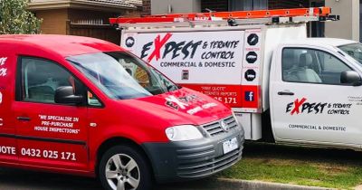 Two pest control company vehicles parked side by side.