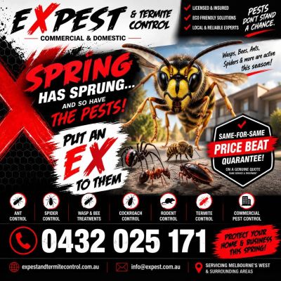 Ex Pest termite and pest control ad with contact details.