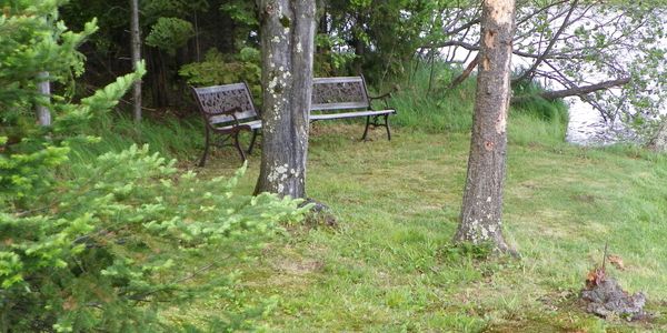 Bench looking at lake