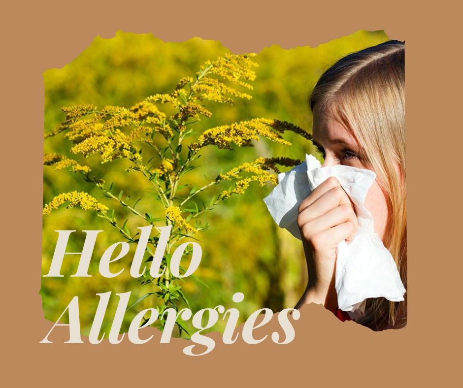 Hello Allergies