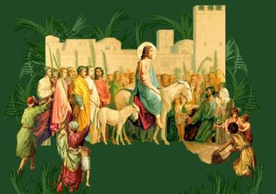 Palm Sunday Explained | www.LifeOfBlessedMary.com