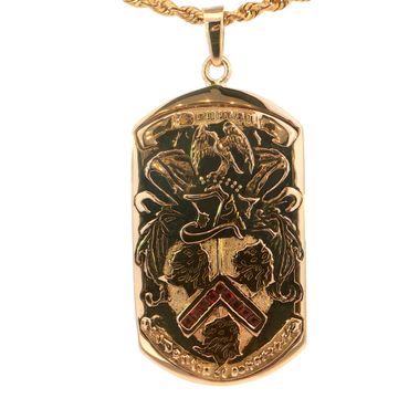 Gold pendant with intricate heraldic design and chain.