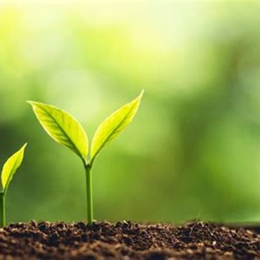 Sandy Springs, Alpharetta, Buckhead, Chamblee, Brookhaven, johns creek, Duluth, Peachtree Corners