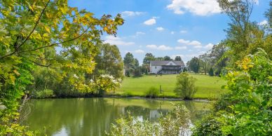 A house overlooking a serene pond surrounded by lush greenery and trees.