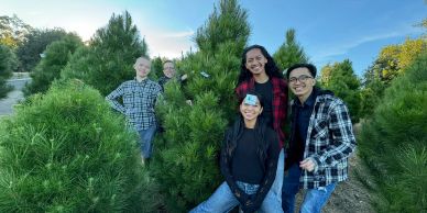 Four friends posing happily around a Christmas tree in a tree farm.