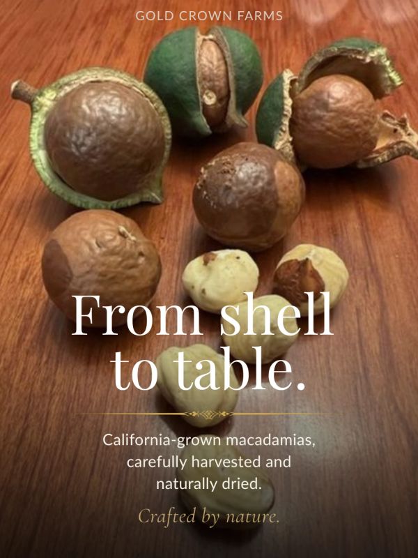 Macadamia nuts transitioning from shell to edible form on a wooden surface.