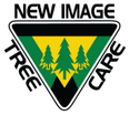 NEWIMAGETREECARE.COM