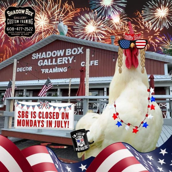 A patriotic-themed chicken with fireworks at Shadow Box Gallery.