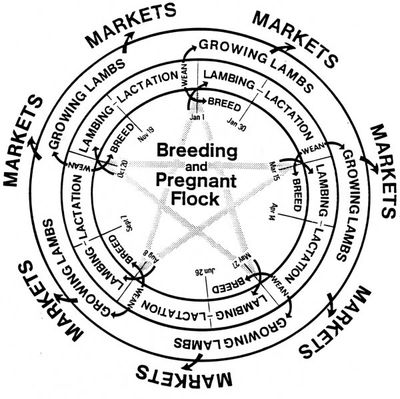 Cornell University 5-Star Lambing Program