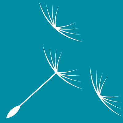 White dandelion seeds floating on a teal background.