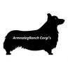 ArmnalegRanch LLC  (TDLR #312)