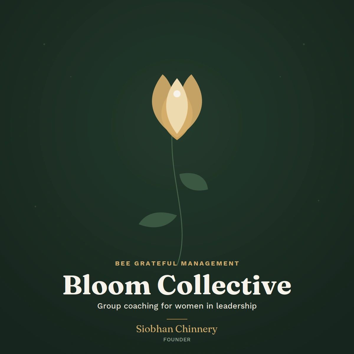 Bloom Collective group coaching for women in leadership.