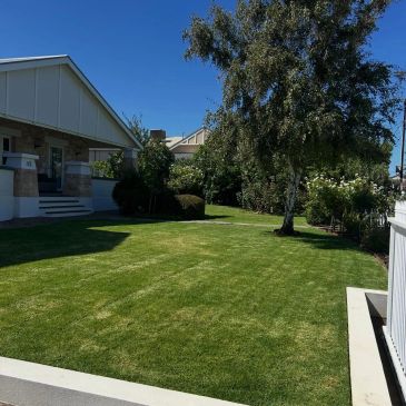 Well-maintained green lawn in front of a house.