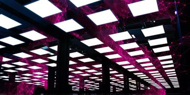 Enterprise IoT Lighting Ecosystem