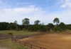 Pasture and Arena at Main Barn 