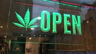cannabis business coverage