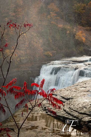 waterfall