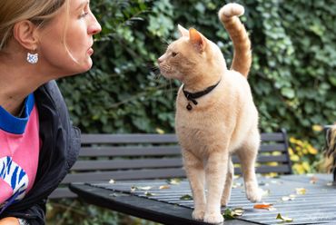 A woman and a cat share a close moment outdoors on a bench.
